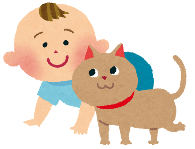 赤ちゃんハイハイレース In イトーヨーカドー 奈良で子育て 子どもと一緒に遊ぼう 赤ちゃんハイハイレース In イトーヨーカドー 奈良で子育て 子どもと一緒に遊ぼう